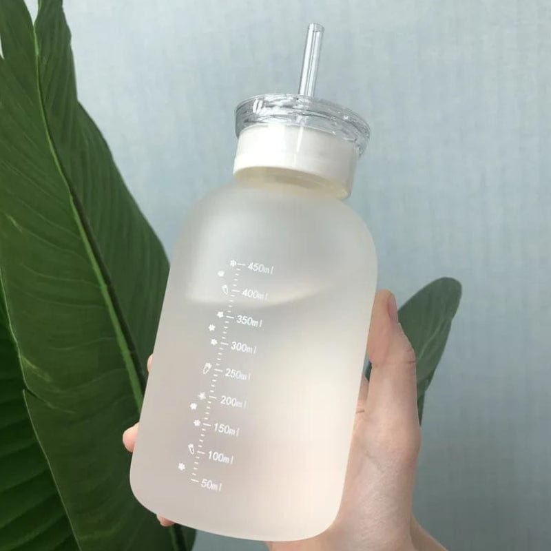 Gourde En Verre Avec Paille Univers du Voyage